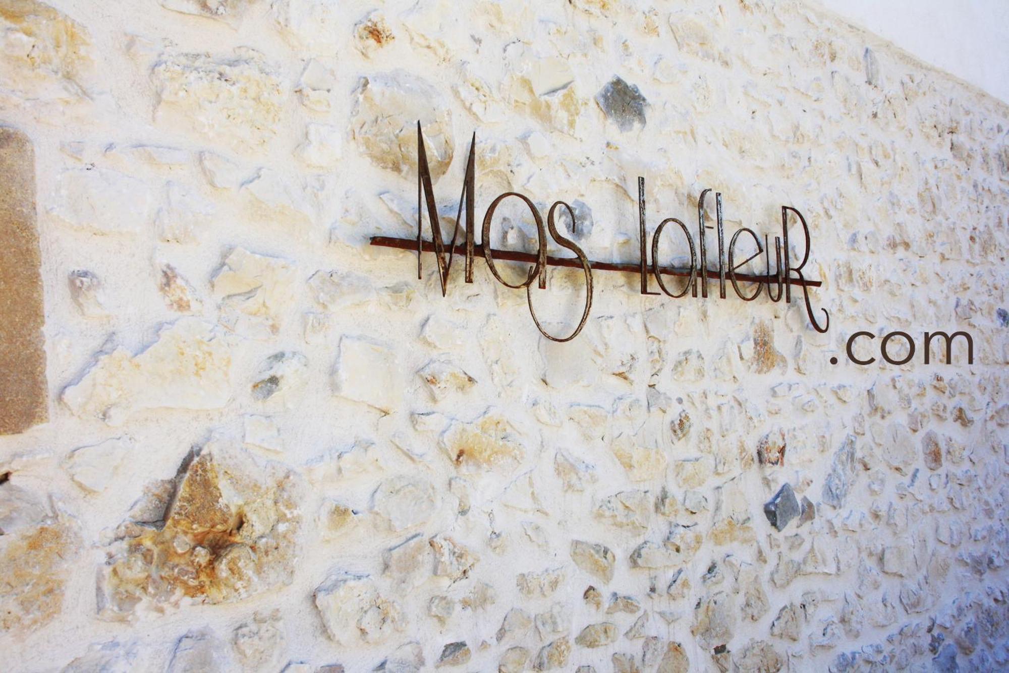 Mas Lafleur Châteaurenard Exterior foto